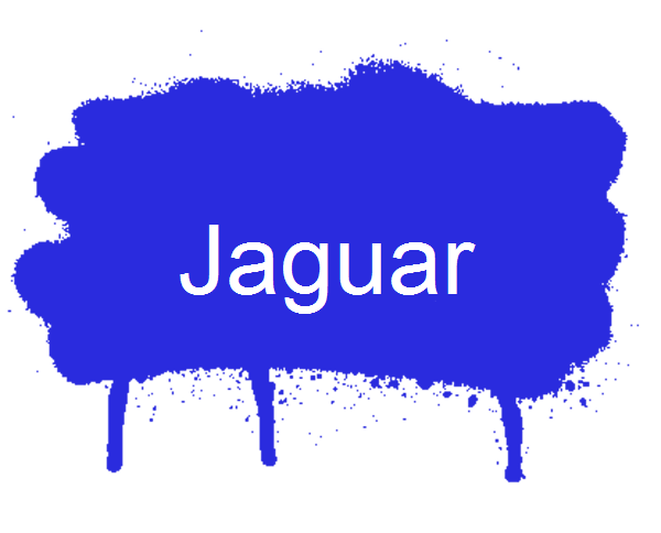 Jaguar Logo