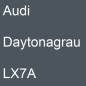 Preview: Audi, Daytonagrau, LX7A.