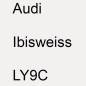 Preview: Audi, Ibisweiss, LY9C.