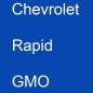 Preview: Chevrolet, Rapid, GMO.