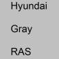 Preview: Hyundai, Gray, RAS.