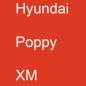 Preview: Hyundai, Poppy, XM.