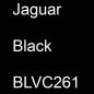 Preview: Jaguar, Black, BLVC261.