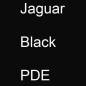 Preview: Jaguar, Black, PDE.