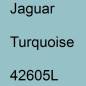 Preview: Jaguar, Turquoise, 42605L.