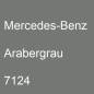 Preview: Mercedes-Benz, Arabergrau, 7124.