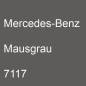 Preview: Mercedes-Benz, Mausgrau, 7117.