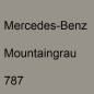 Preview: Mercedes-Benz, Mountaingrau, 787.