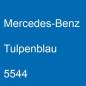 Preview: Mercedes-Benz, Tulpenblau, 5544.