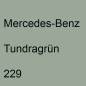 Preview: Mercedes-Benz, Tundragrün, 229.