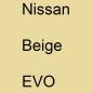 Preview: Nissan, Beige, EVO.