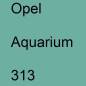 Preview: Opel, Aquarium, 313.