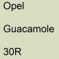 Preview: Opel, Guacamole, 30R.