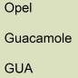 Preview: Opel, Guacamole, GUA.