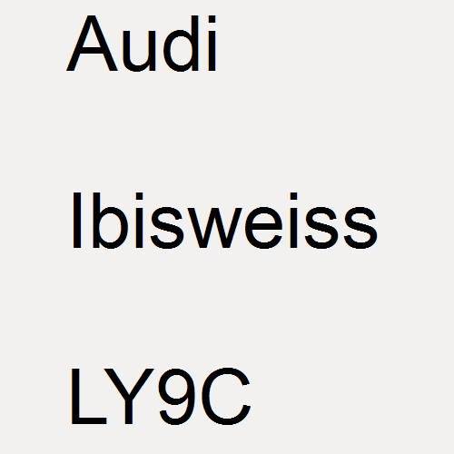 Audi, Ibisweiss, LY9C.