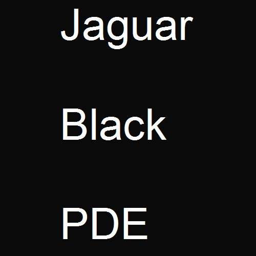 Jaguar, Black, PDE.