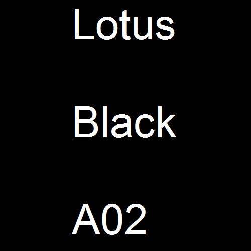 Lotus, Black, A02.