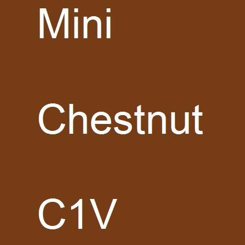 Mini, Chestnut, C1V.