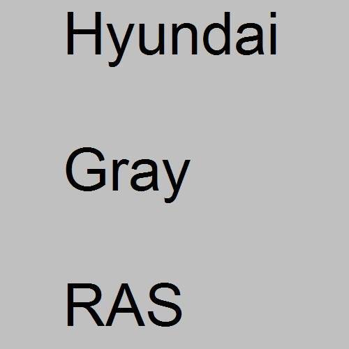 Hyundai, Gray, RAS.