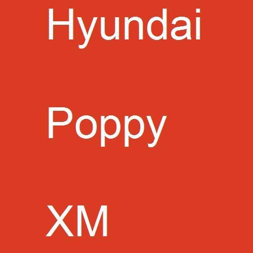 Hyundai, Poppy, XM.