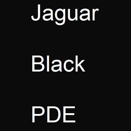 Jaguar, Black, PDE.