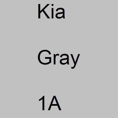 Kia, Gray, 1A.