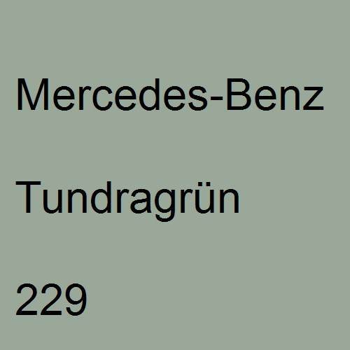 Mercedes-Benz, Tundragrün, 229.